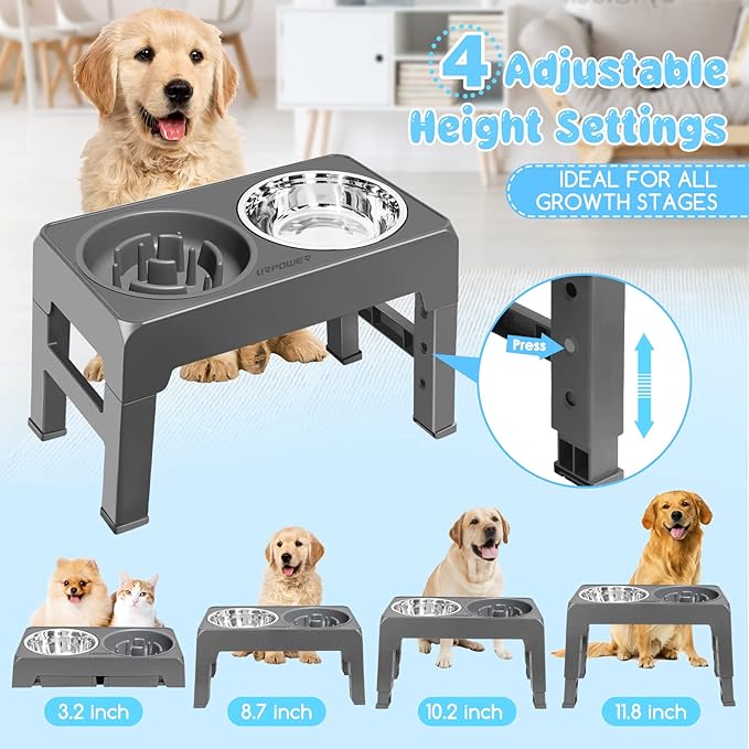 URPOWER Raised Dog Bowls 4 Height Adjustable Elevated Bowl Stand with Stainless Steel Water Bowl Non-Slip Dog Food Bowls Stand for Small Medium Large Dogs and Pets