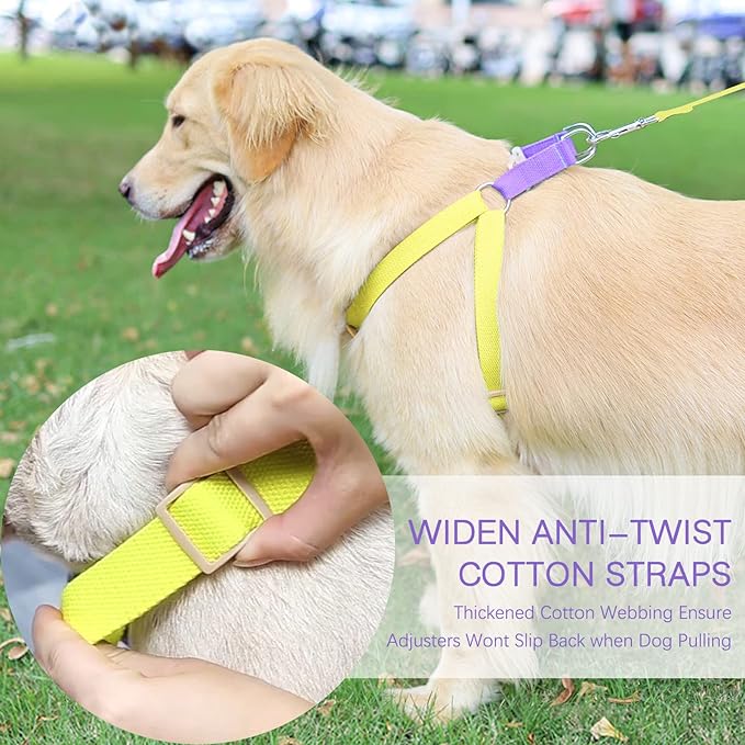No Pull Dog Harness and Leash Set, Dog Collar, Step in Dog Halter Harness with Poop Bag Holder, Adjustable Lightweight Cotton Straps Suitable for Small Medium Large Dogs Outdoor Walking Running Hiking