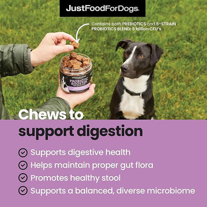 JustFoodForDogs Probiotic Booster Supplement for Dogs, Human Grade Dog Supplements, Immune and Digestive Support, Multivitamin Soft Chews, Superfood Blend, Plant Based Dog Vitamins - 45 Count