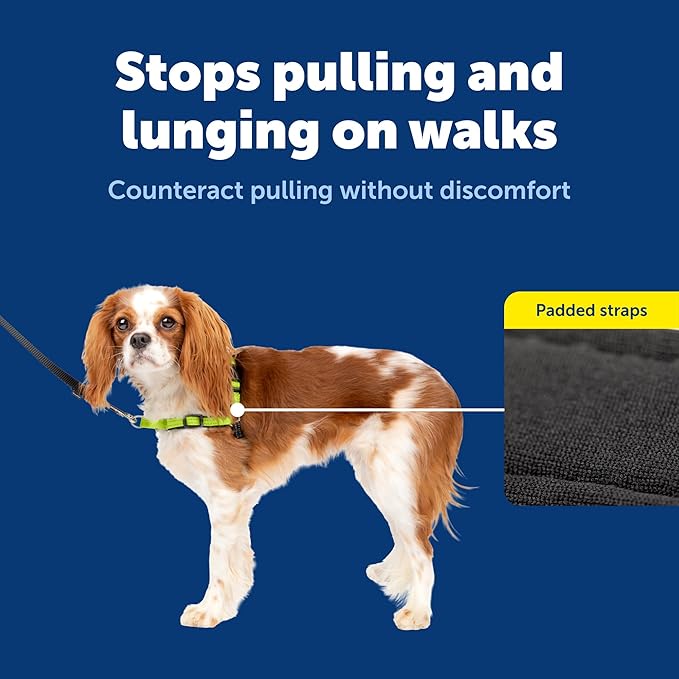 PetSafe Deluxe Easy Walk Harness - Trainer-Trusted Dog Chest Harness with Breathable Martingale Loop Design - Helps Stop Pulling with No Choking & Gagging - Small - Apple