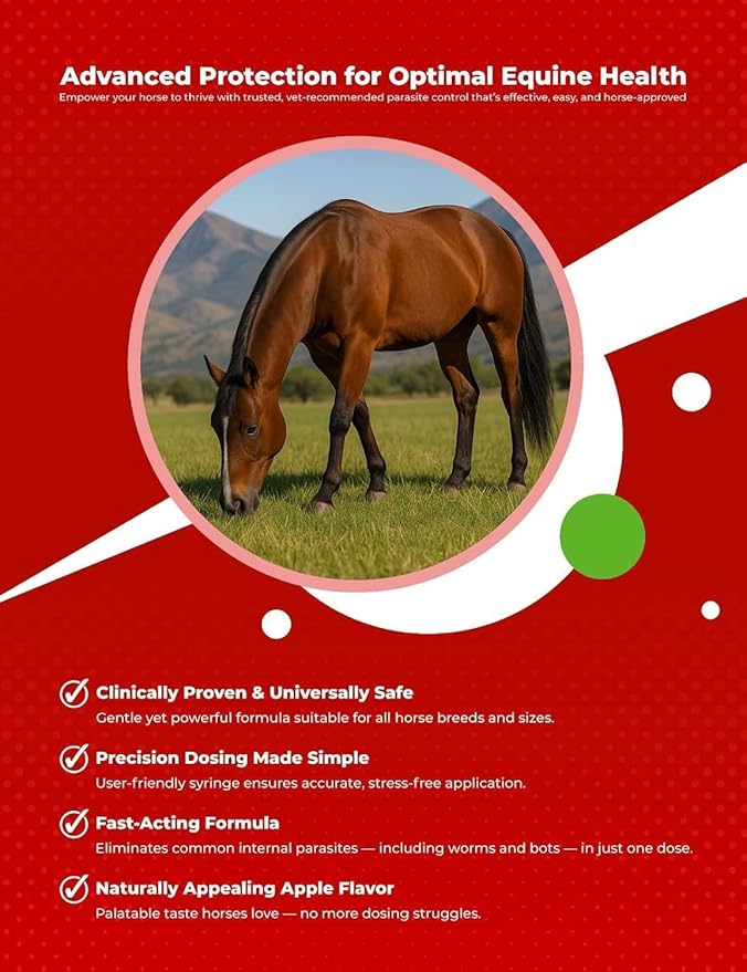 Ivermectin Paste 1.87% Only Use for Horses – Apple Flavor Oral Paste – 6.08g Syringe - Gel Dewormer for Horse - Safe for Equine of All Ages (1 - Pack)