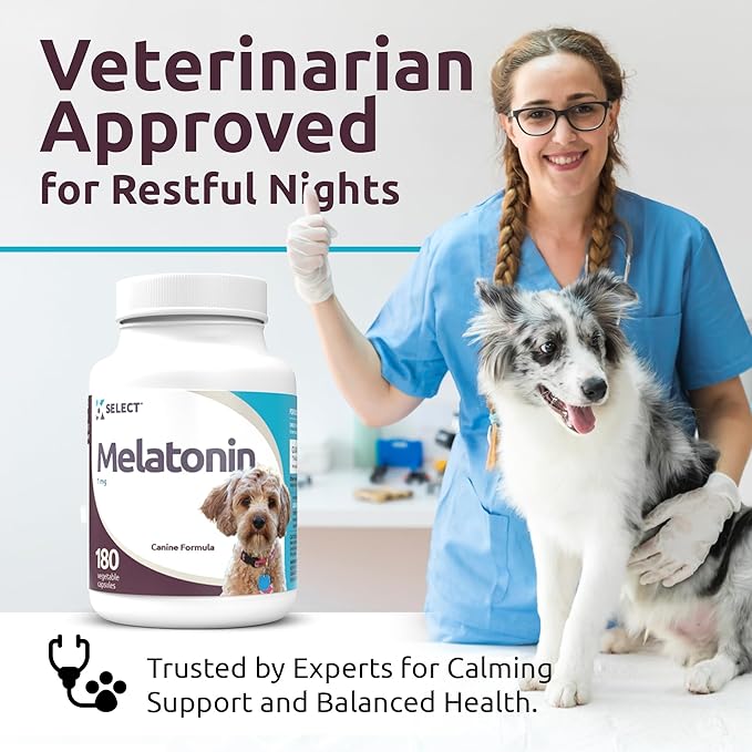 K9 Select Melatonin for Dogs - Calming Aid Tasty Dog Supplement - Helps Overall Health with Quiet Moments and Composure - Reduce Stress Calming Treats for Small Dogs - 1 mg, 180 Vegetable Capsules