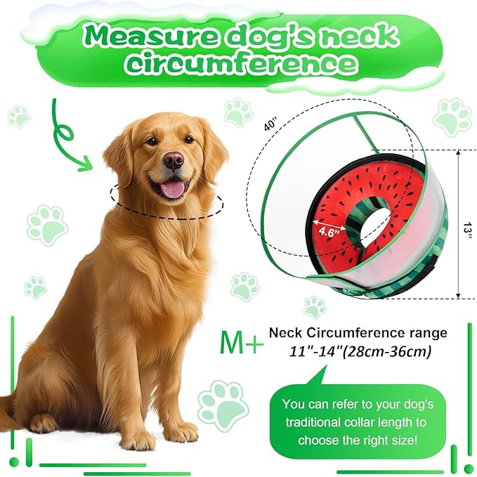 CNEO Inflatable Dog Cone Collar with Detachable Enhanced Anti-Licking Shield, Soft Neck Donut Collar for Dogs After Surgery, Adjustable Dog Cone Alternative for Large Medium Small Dogs & Cats