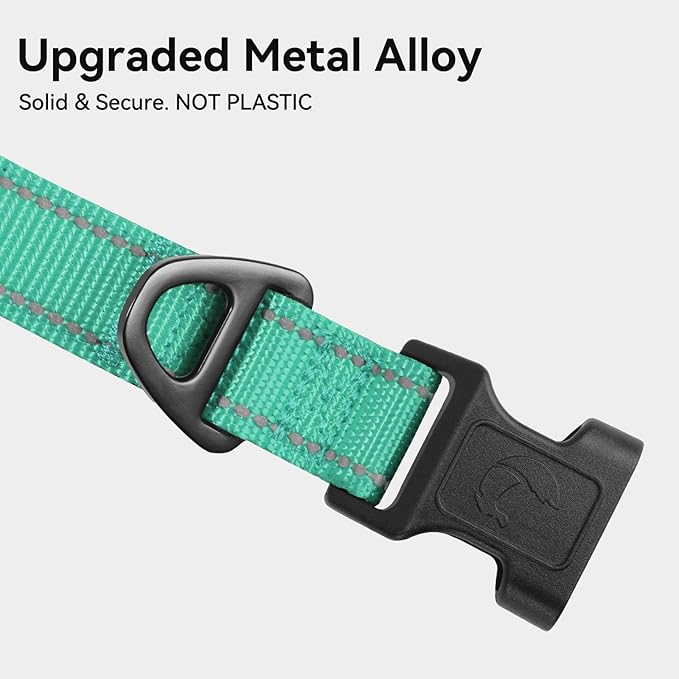 Joytale Reflective Dog Collar, Soft Neoprene Padded, Metal D-Ring, Nylon Pet Collar Adjustable for Large Dogs, Teal, L
