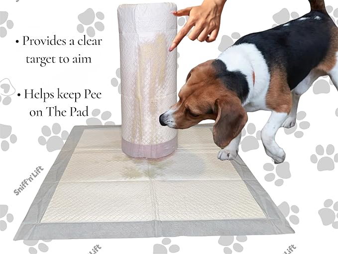 Indoor Dog Pee Post | Provides a Target to Aim | Keeps Pee on Pad | Training Aid | for All Dog Sizes