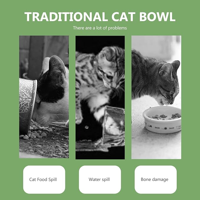 Multifunctional Dog Food Dispenser and Water Container Stainless Steel Automatic Pet Feeder Green for Home Use