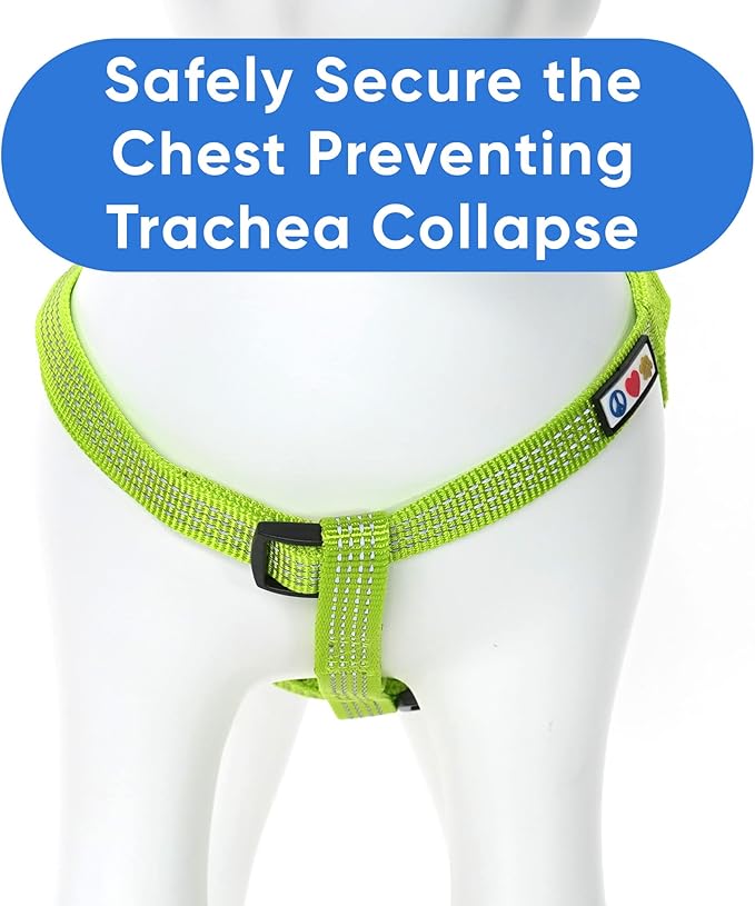 Pawtitas Reflective Step-in Dog Harness – Adjustable No-Pull Vest for Puppies to Seniors, Safe & Comfortable, L Green