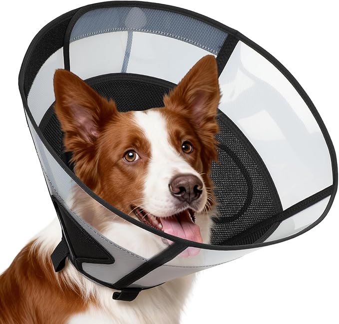 Soft Dog Cone Collar for Large Dogs, Mesh Windows Transparent E Collar for Dog, Anti-Bite Lick Wound Healing After Surgery Neuter Safety Practical Comfy Plastic Cone (Black, M)