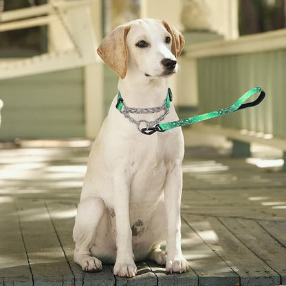 Martingale Dog Collar and Leash Set, Stainless Steel Chain, No Pull Training Collar with Flower Design, for Small, Medium, Large Dogs (NO8, S)