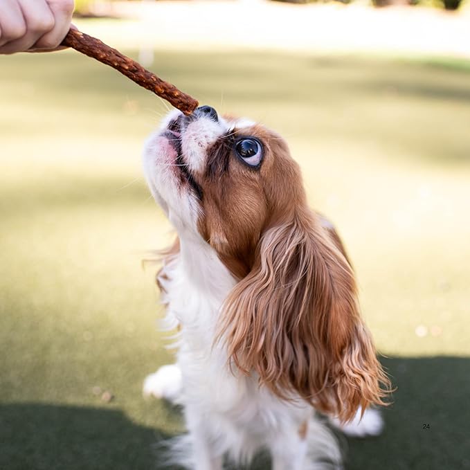 Loving Pets Soft Jerky Dog Treats – Real USA-Sourced Meat Dog Snacks for Training, Puppies & Everyday Reward – Soft, Chewy Dog Treats for Small, Medium & Large Dogs – Wheat & Corn Free