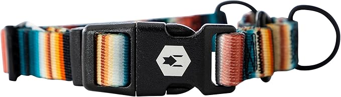 Wolfgang Heavy Duty Martingale Dog Collar with Quick Release Nylon Buckle for Walking & Training, LostArt Print, Small