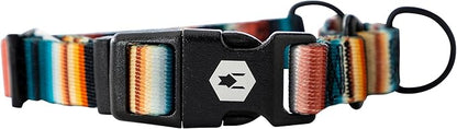 Wolfgang Heavy Duty Martingale Dog Collar with Quick Release Nylon Buckle for Walking & Training, LostArt Print, Small