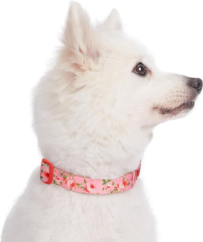 Blueberry Pet Adjustable Large Dog Collars for Medium Dogs, Small Dogs, Puppy Collar, Flower for Dog Collar Female, Pink Dog Collar Girl Flower, 18-26 Inch