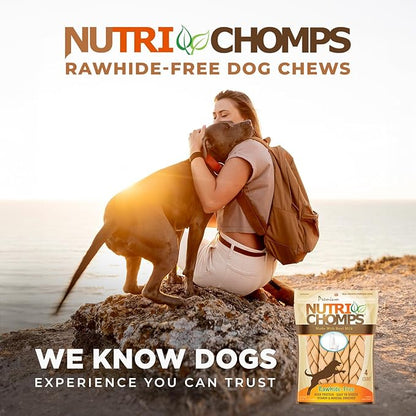 NutriChomps 9-inch Braid, Rawhide-Free Dog Treats, Easy to Digest, Healthy, 4 Count Milk