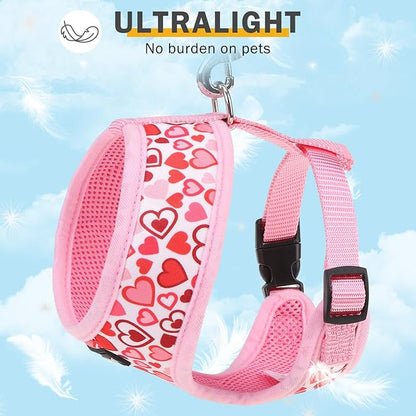 SCENEREAL Valentines Dog Harness Collar and Leash Set for Small Dogs, Soft Mesh Harnesses，Pet Vest for Outdoor Walking Training and Running, XS