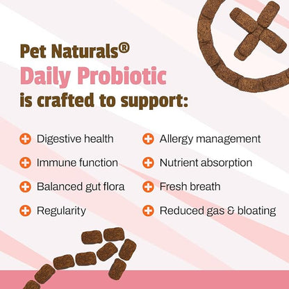 Pet Naturals Daily Probiotic for Dogs,Duck Flavor,160 Chews - 120M CFUs Pre and Probiotics for Dogs Digestive Health,Gut Health,Immune Support,Diarrhea,Allergies and Itching,(Pack of 2)