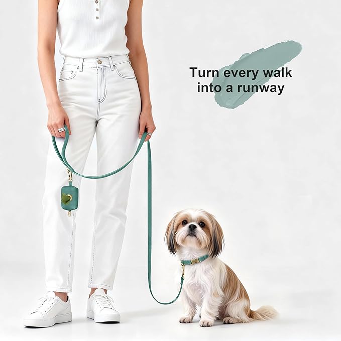 Didog Soft PU Leather Dog Collar, Stylish Quick Released Dog Collars for Small Dogs, Easy Clean Adjustable Pet Collar for Daily Walking, Green, S Fit 10-15" Neck