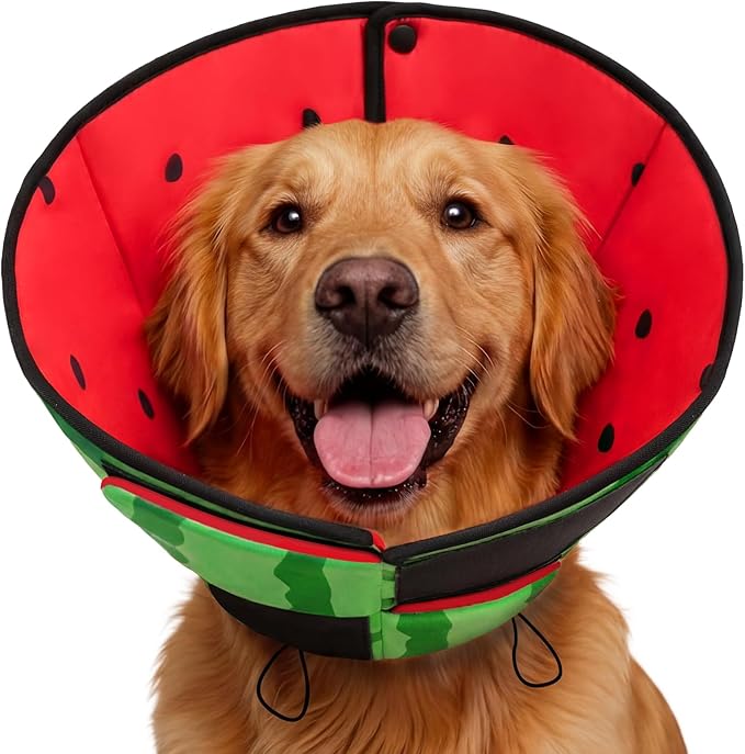 Queenmore Soft Cone for Dogs, Dog Cones for Large Dogs to Stop Licking, Dog Soft Cone, Elizabethan Collar for Pets, Alternative Pet Recovery Collar for Wound Healing, Watermelon L