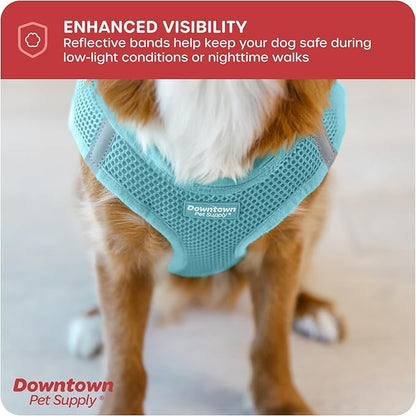 Downtown Pet Supply Step-in Dog Harness – No Pull, Adjustable Padded Mesh with Reflective Trim, Secure Buckle Strap – Comfortable & Breathable Small Dog Harness, Small, Light Blue