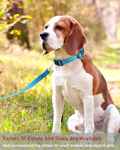 Reflective Dog Collar with Buckle Adjustable Safety Nylon Collars for Small Medium Large Dogs, Blue S