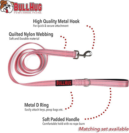 BULLHUG 6 FT Bulldog Leash with Padded Handle. Perfect for Bulldogs, French Bulldogs, Pugs & All Breeds. Leashes for Walking, Training Lead for Bulldogs (Reflective Stitching, Blue)
