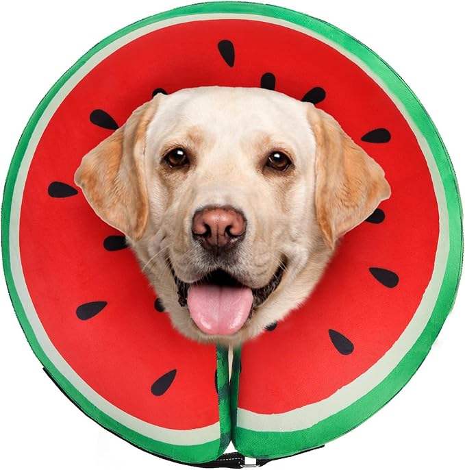 SCENEREAL Dog Cone Alternative After Surgery Donut Collar, Soft Pet Recovery Pillow Collar for Medium Large Dogs, Inflatable Adjustable Neck Collars to Prevent Licking, Watermelon XL