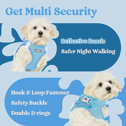 rabbitgoo Small Dog Harness, Step-in Soft Mesh Puppy Vest with Safety Buckle, Breathable Reflective Pet Harness for Extra Small Dogs, Blue XXS