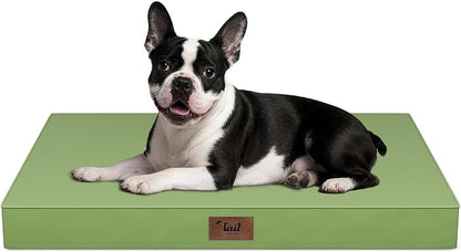 Outdoor Orthopedic Dog Bed for Medium Dogs & Cats, Waterproof Flat Pet Mat with Egg Crate Foam & Washable Removable Oxford Cover, 30x20 Inch, Light Green
