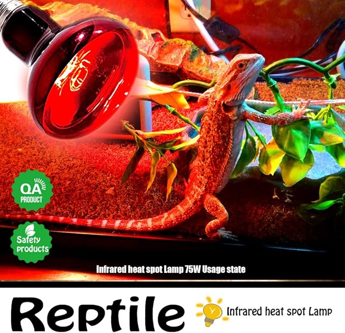 Infrared Heat Lamp Bulbs 75W 2 Pack,Red Basking Spot Light Bulb Reptile Heating lamp for Bearded Dragon,Turtle,Snake,Leopard Gecko,Chicked with Digital Temperature Thermometer