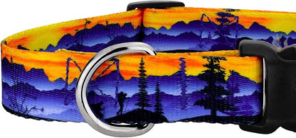 Country Brook Petz - Great Outdoors Everyday Dog Collar and Leash - Sports and Athletics Collection Featuring Spirited Designs (1 Inch, Extra Large)