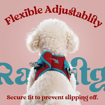 rabbitgoo Dog Harness Small Sized and Leash Set, Step-in Breathable Pet Harness, Soft Walking Reflective Puppy Vest for Small Dogs, Red & Teal, S