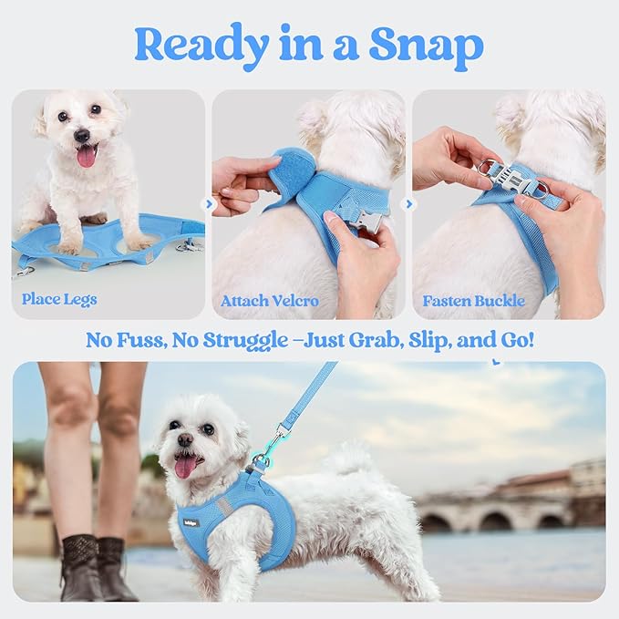rabbitgoo Dog Harness Small Sized and Leash Set, Step in Soft Light Puppy Vest, Breathable Mesh Pet Harness, Reflective for Safe Easy Walking, Blue XXS