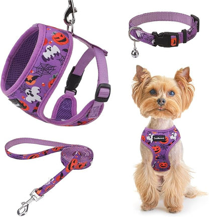 SCENEREAL Halloween Small Dog Harness Collar and Leash Set, Adjustable No Pull Pet Harnesses, No Chock Soft Mesh Vest Costume for Doggie Puppy Dogs Cats Girl Boy Outdoor Walking