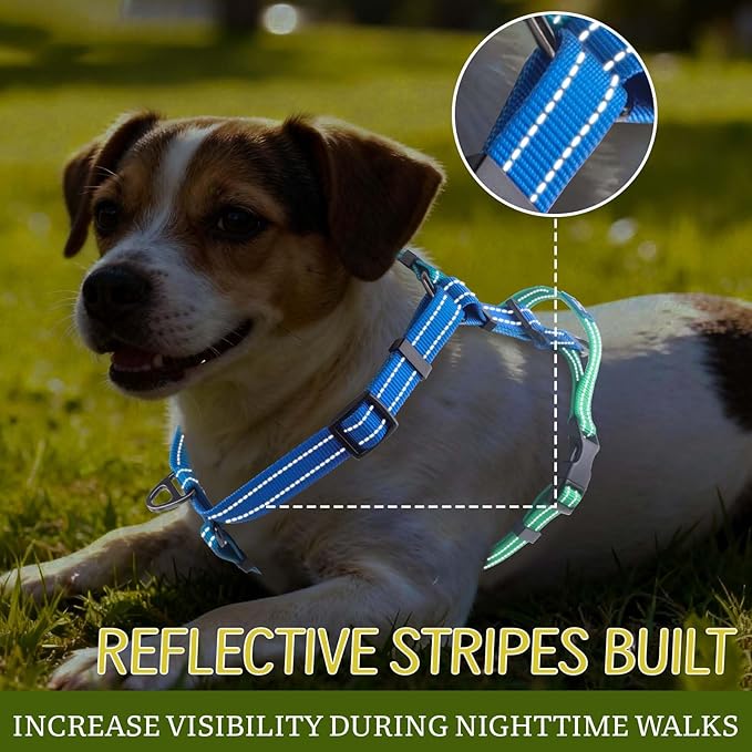 Roses&Poetry Dog Harness Small Sized Dog, 6 Point Adjustable Fit No Pull Harness with Handle for Control and Easy Walking, Reflective Pet Halter Harnesses（Bluegreen-S）