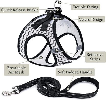 BOOMIBOO Dog Harness with Leash Set, No Pull Adjustable Reflective Step-in Puppy Pet Vest Harnesses for Small Medium Large Dogs and Cats,White Stripe XS
