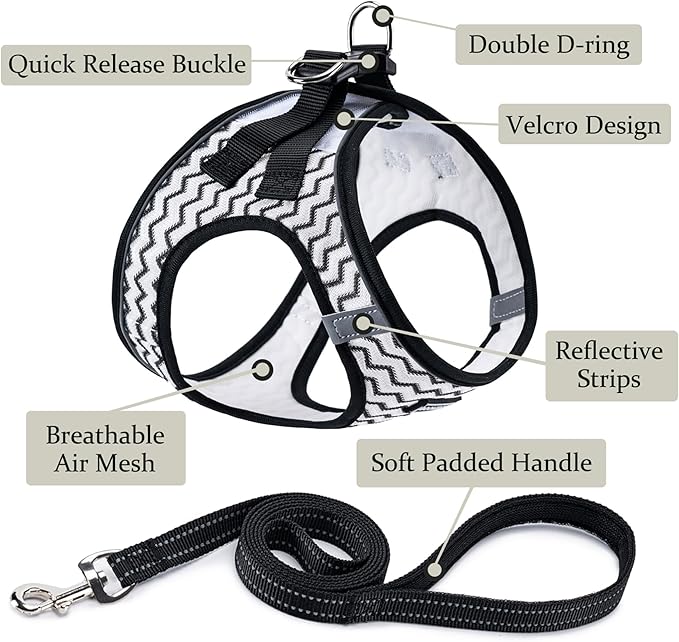 BOOMIBOO Dog Harness with Leash Set, No Pull Adjustable Reflective Step-in Puppy Pet Vest Harnesses for Small Medium Large Dogs and Cats,White Stripe XXS