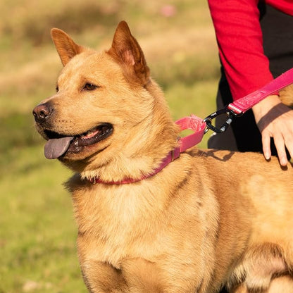 Hyhug Martingale Collar for Dogs Small Pink |Escape - Proof Heavy Duty Nylon Durable No Buckle, Ideal for Training & Daily Walks