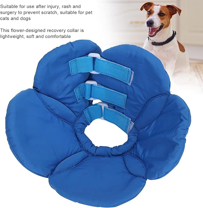 Dog Cone Collar, Wound Healing Protective Cone Surgery Recovery Collars Dog Donut Collar After Surgery Elizabethan Collar for Dogs Adjustable Soft Neck Cone for Small Pet (M)