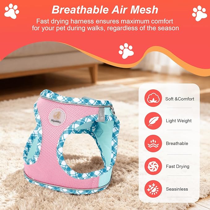 Hipubby Dog Harness Small Sized and Leash Set, No Pull Soft Mesh Puppy Vest, Reflective Breathable Lightweight Pet Harness, Harness for Small Medium Dogs and Cats - Pink Green, L