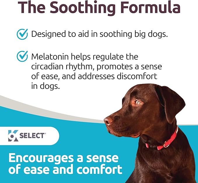 K9 Select Dog Melatonin for Large Dogs - Composure Dog Calming Chews - Canine Melatonin for Sleep - Reduce Stress for Large Canines - 6 mg, 90 Beef Flavored Chewable Tablets