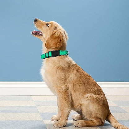 Reflective Dog Collar, Adjustable Soft Neoprene Padded Nylon Pet Collars with Buckle for Medium Dogs, Grass Green,M