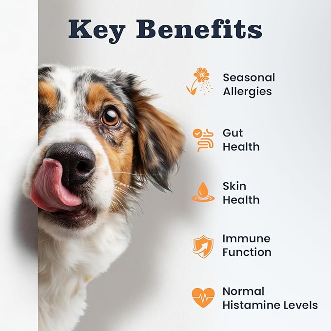 Dog Allergy Chews 200 Treats, Allergy & Itch Skin Relief Omega 3 Fish Oil Probiotics for Seasonal All Issues Allergies Skin & Hair, Gut, Immune Support-All Ages & Sizes Dogs Made in USA Chicken Flavor