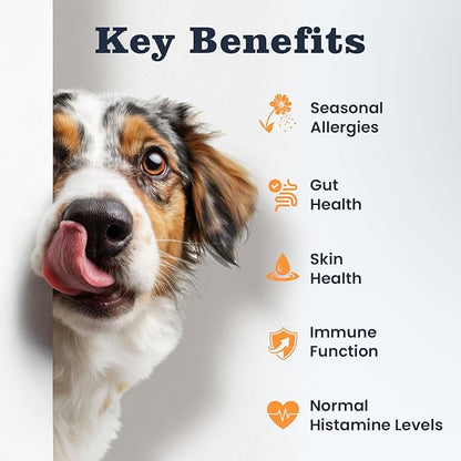 Dog Allergy Chews 200 Treats, Allergy & Itch Skin Relief Omega 3 Fish Oil Probiotics for Seasonal All Issues Allergies Skin & Hair, Gut, Immune Support-All Ages & Sizes Dogs Made in USA Chicken Flavor