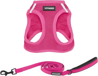 Best Pet Supplies Voyager Step-in Air All Weather Mesh Harness and Reflective Dog 5ft Leash Combo with Neoprene Handle, for Small, Medium and Large Breed Puppies - Set (Fuchsia), Large