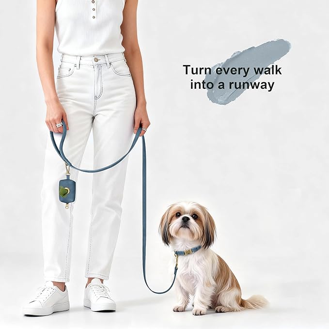 Didog Soft PU Leather Dog Collar, Stylish Quick Released Dog Collars for Small Dogs, Easy Clean Adjustable Pet Collar for Daily Walking, Blue, S Fit 10-15" Neck