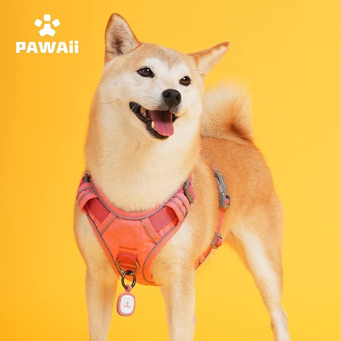 Pawaii Dog Harness for Small Dogs No Pull, No Pull Dog Harness with Pet ID Tag, No Choke Front Clip Harness Dog, Adjustable Soft Padded Pet Vest with Easy Control Handle