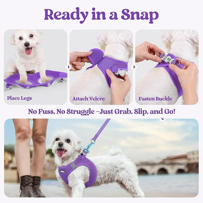 rabbitgoo Dog Harness Small Sized and Leash Set, Step in Soft Light Puppy Vest, Breathable Mesh Pet Harness, Reflective for Outdoor Safe Walking, Purple XXXS
