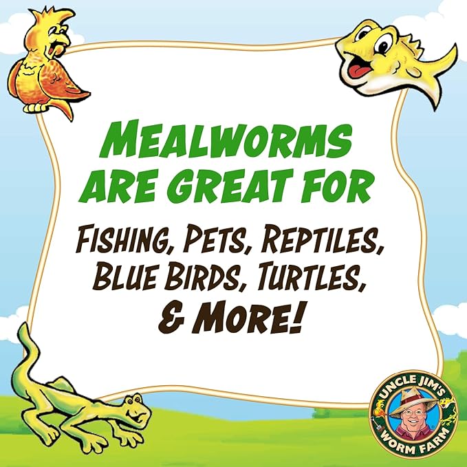 Uncle Jim's Worm Farm 500 Count Mealworms for Reptiles and Chickens | Mealworms for Feeding Lizard, Gecko, Bearded Dragons, Chickens, Birds, and More | Suitable for Fishing Bait