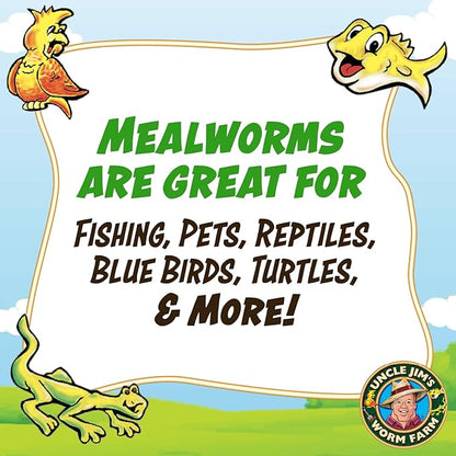 Uncle Jim's Worm Farm 500 Count Mealworms for Reptiles and Chickens | Mealworms for Feeding Lizard, Gecko, Bearded Dragons, Chickens, Birds, and More | Suitable for Fishing Bait