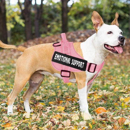 voopet Service Dog Harness, Emotional Support Pet Vest Harness, Reflective Breathable and Adjustable No-Pull ESA Dog Harness for Small Medium Large Dogs (with 4 PCS Removeable Tags)